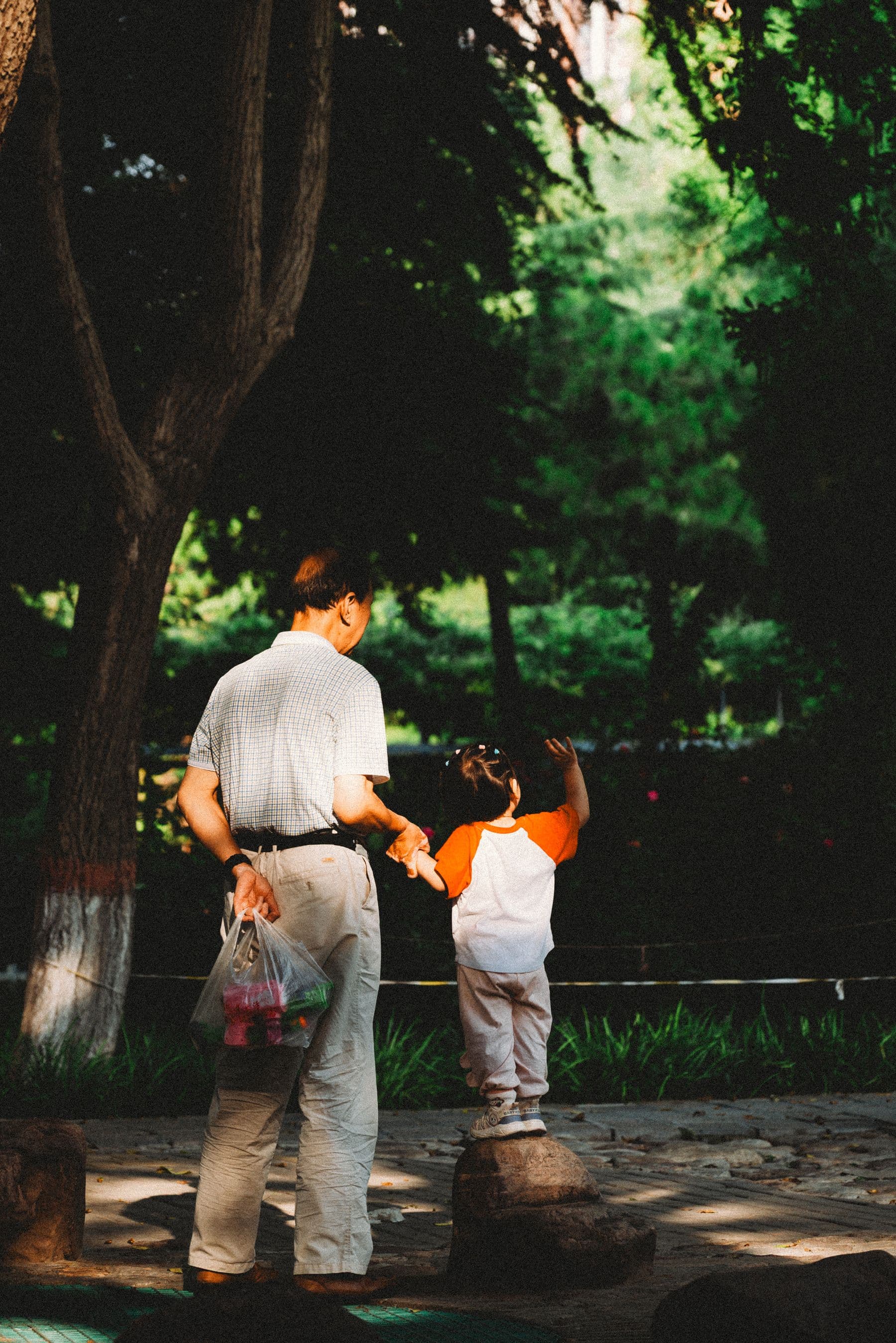 A man and a small child holding hands in a park, both seen from behind